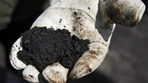 oil sands